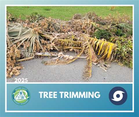 Tree Trimming 2025 graphic