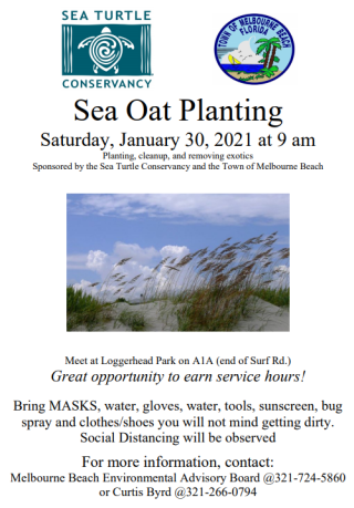 Sea Oat Planting Flyer